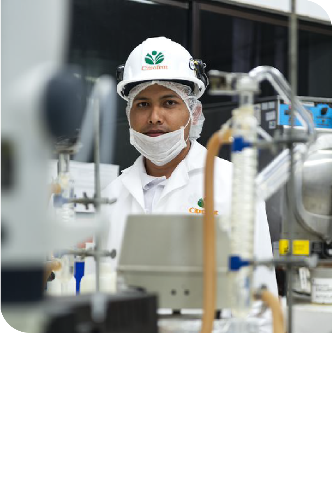 Value offer in Citrofrut