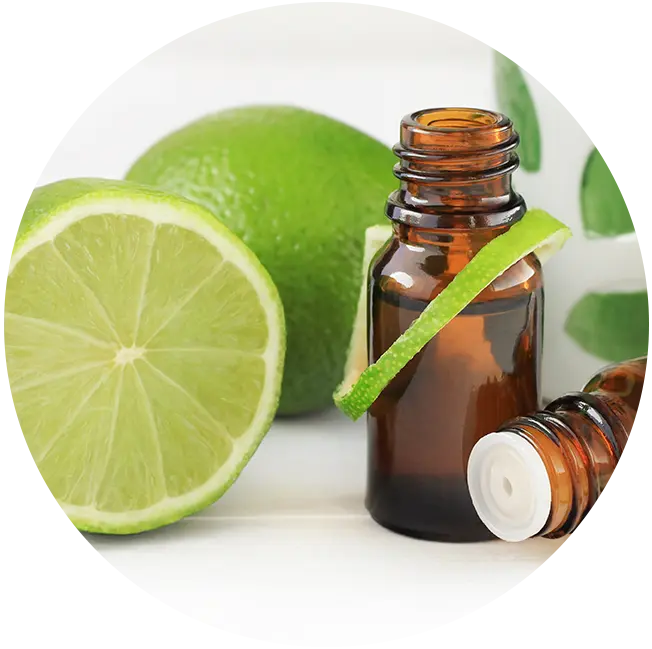 Lemon - Essential Oil